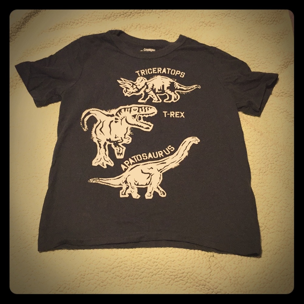 Dinosaur Tee Shirt